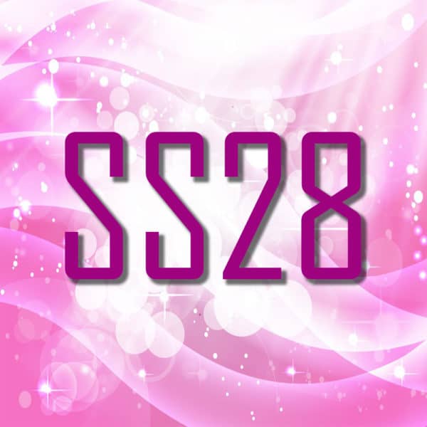 SS28