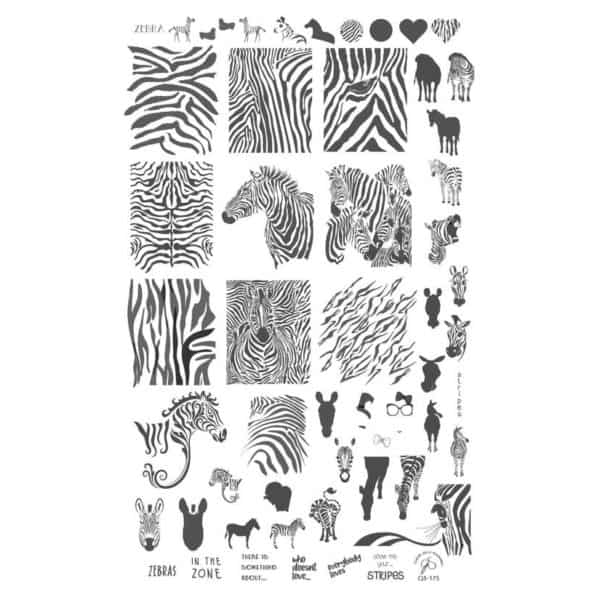 Wild Kingdom – Zebra